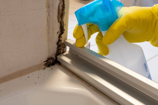 Best Mold Testing and Inspection Services in Oregon, WI