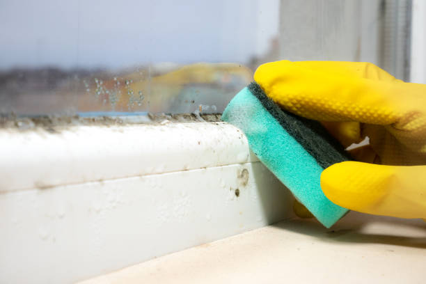 Best Industrial Mold Remediation in Oregon, WI