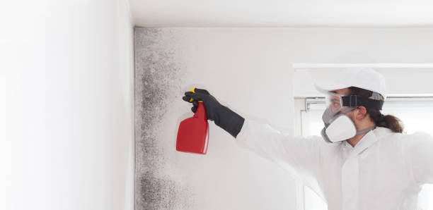  Oregon, WI Mold Removal Pros