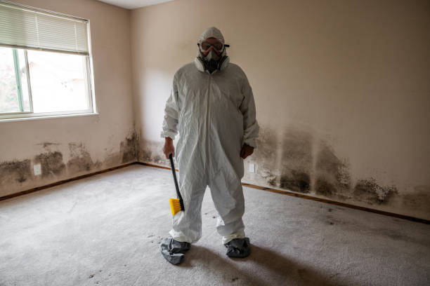 Best Commercial Mold Remediation in Oregon, WI